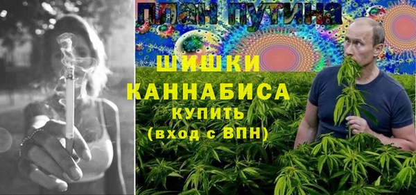 apvp Осинники