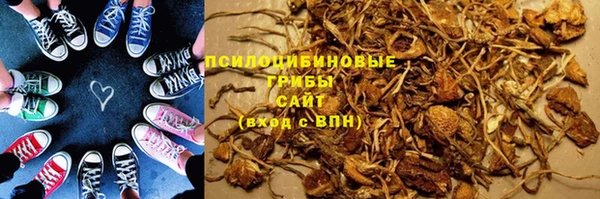 apvp Осинники
