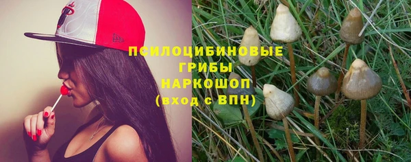 mdpv Осташков